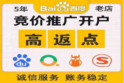 某电商平台的SEM推广实战经验